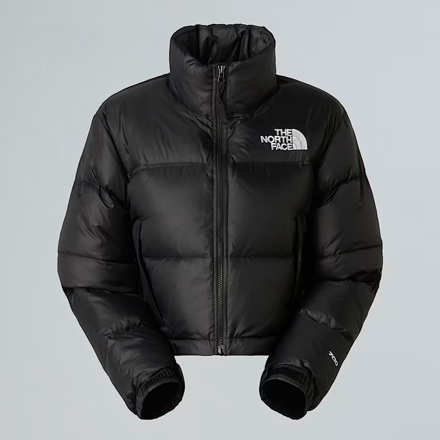 The North Face Jackets